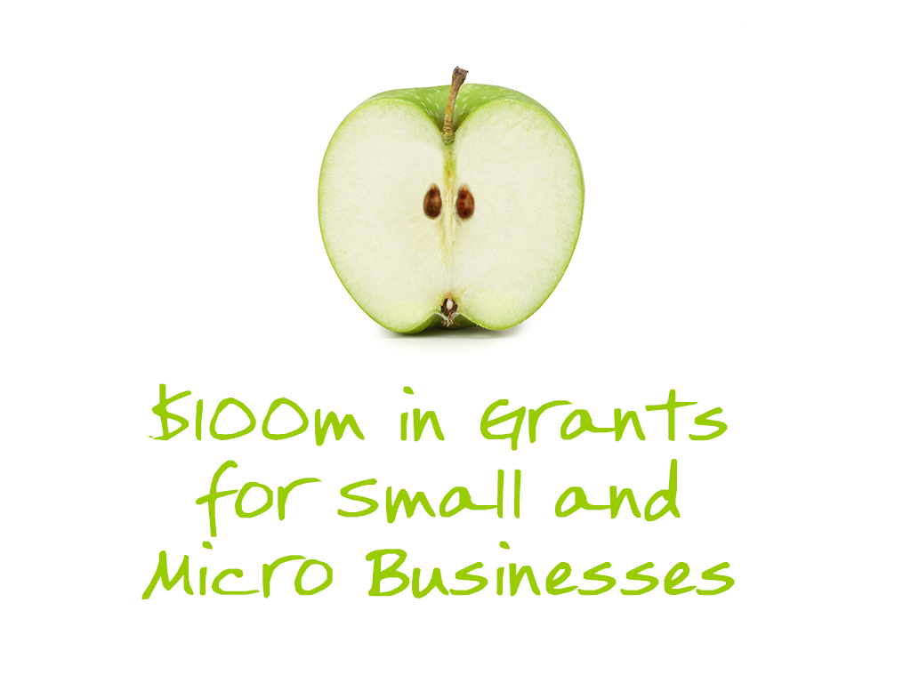 4-3_100m in grants for small and micro businesses