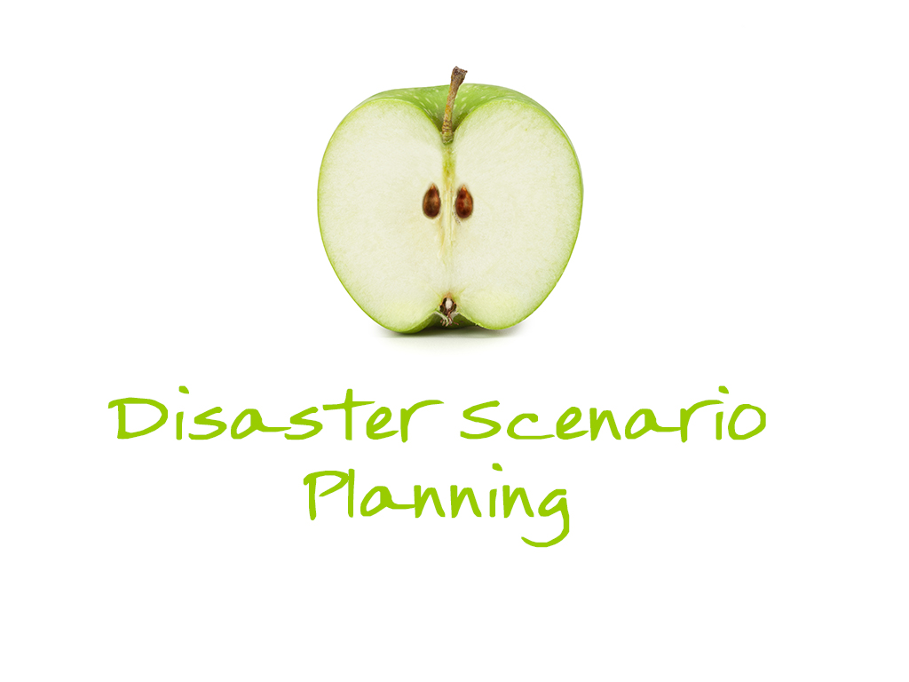 4-3_Disaster Scenario Planning