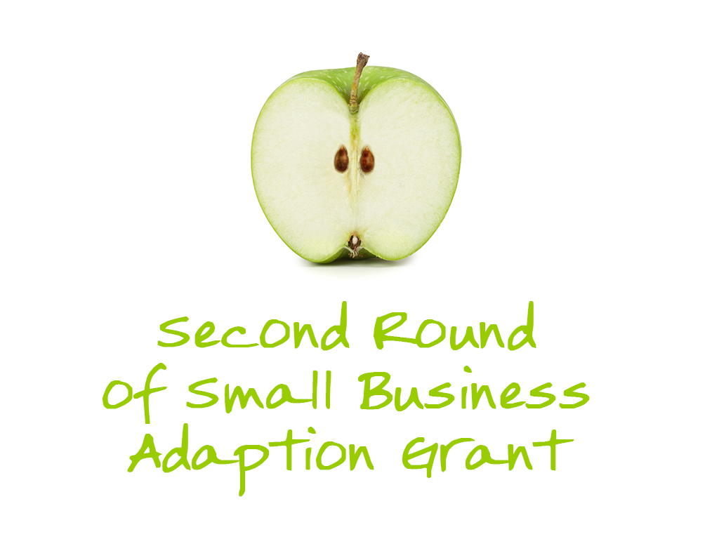 Second Round Business adaption grant title